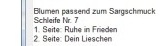 Zusätzliche Informationen als Kommentar.jpg