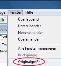 Originalgröße.jpg